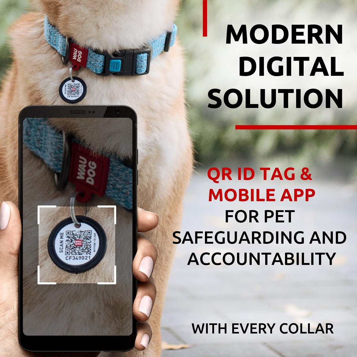 Blue Reflective Cotton Dog Collar Eco Friendly for Medium Dogs 