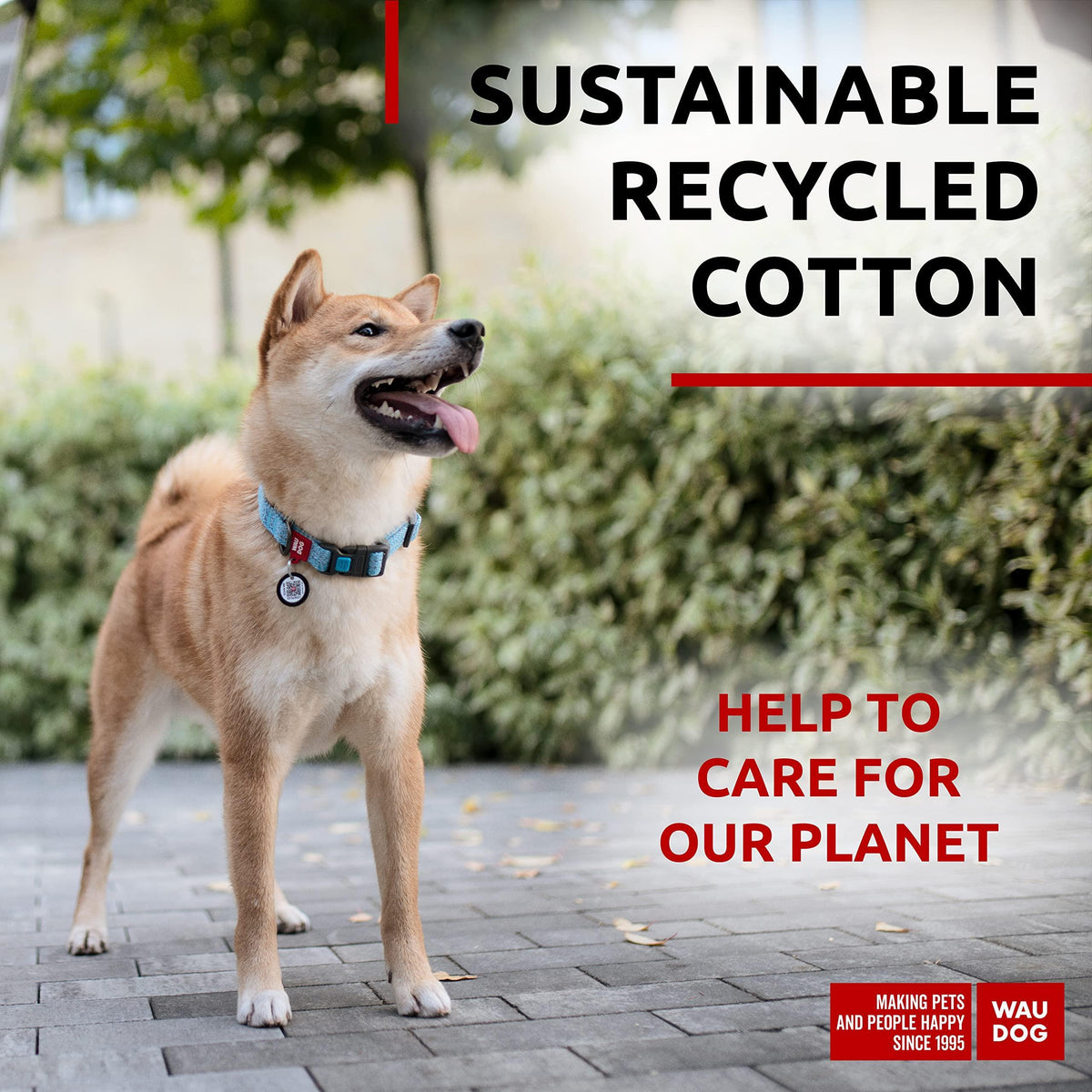 Blue Reflective Cotton Dog Collar Eco Friendly for Medium Dogs 